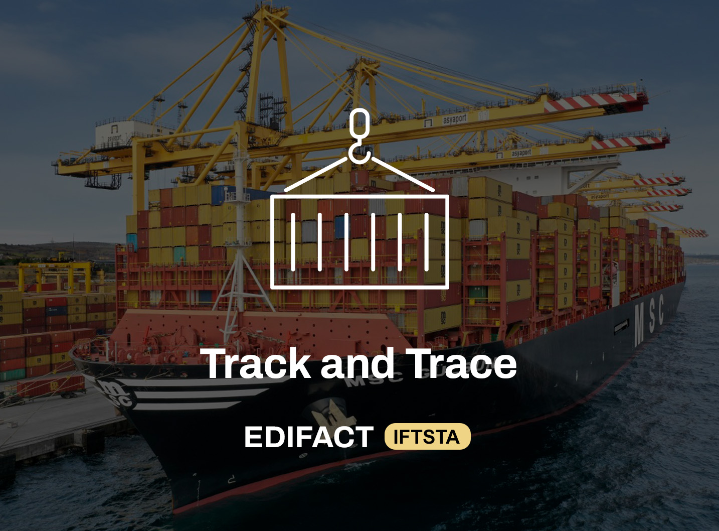 Track and Trace EDIFACT