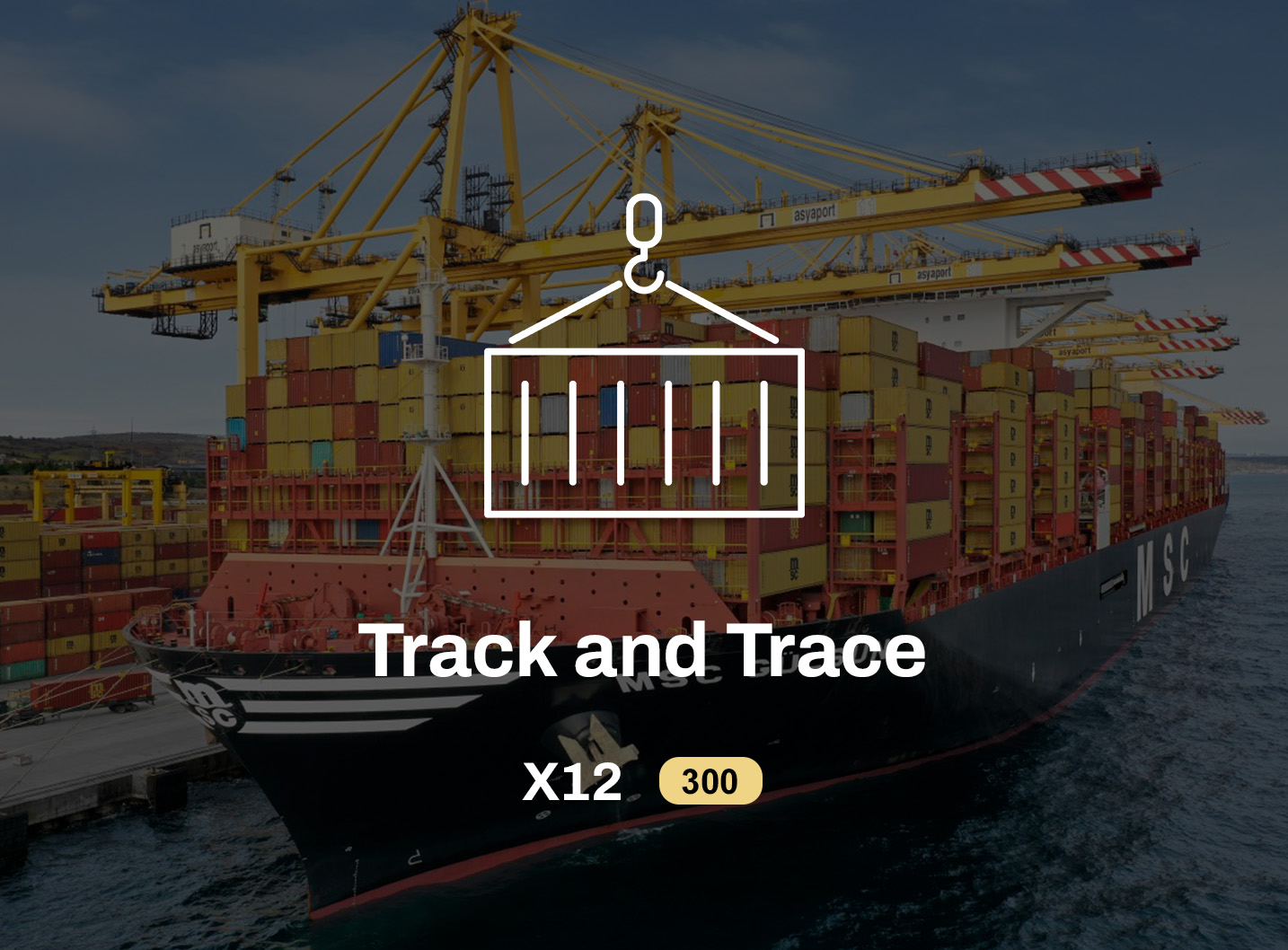Track and Trace X12